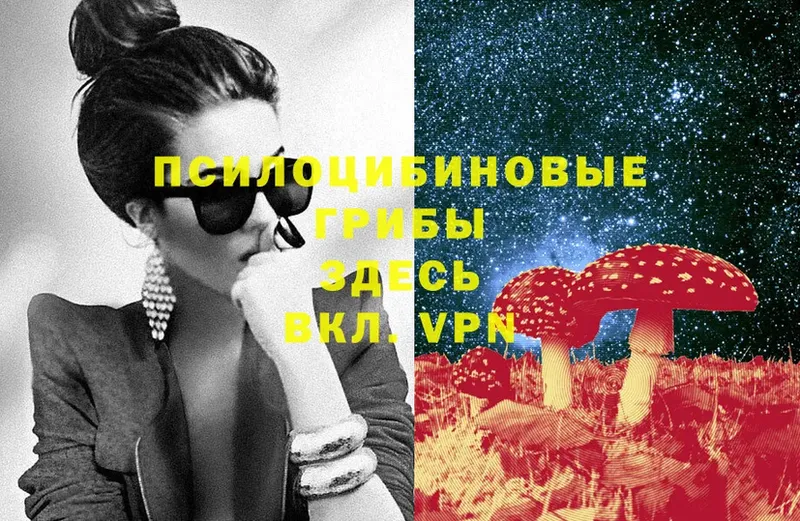 Галлюциногенные грибы Psilocybine cubensis  ОМГ ОМГ ссылка  Барыш 